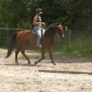 Meet your Posher, Roey